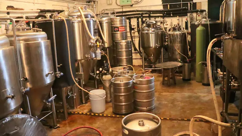 david- Cervecería  la brújula